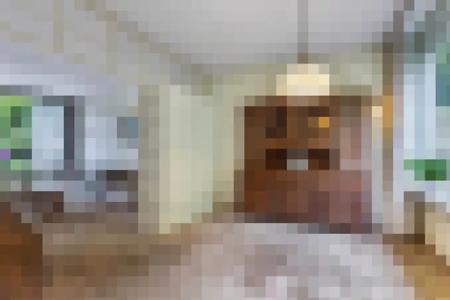 Boszoom 32 Marknesse thumbnail 26