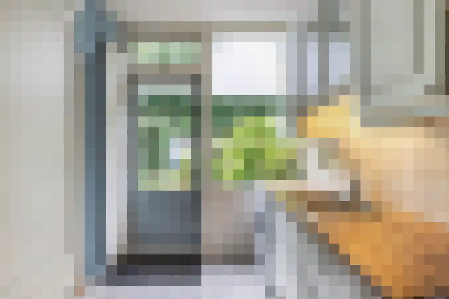 Boszoom 32 Marknesse thumbnail 28