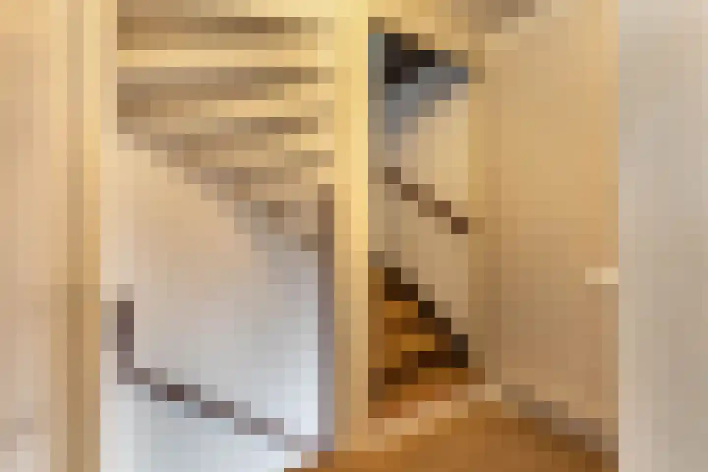 Boszoom 32 Marknesse thumbnail 30