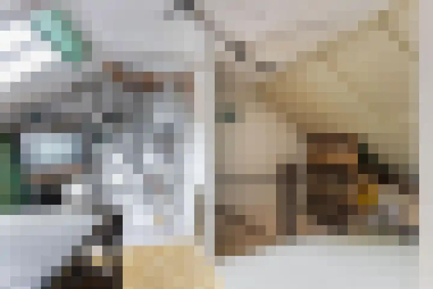 Boszoom 32 Marknesse thumbnail 35