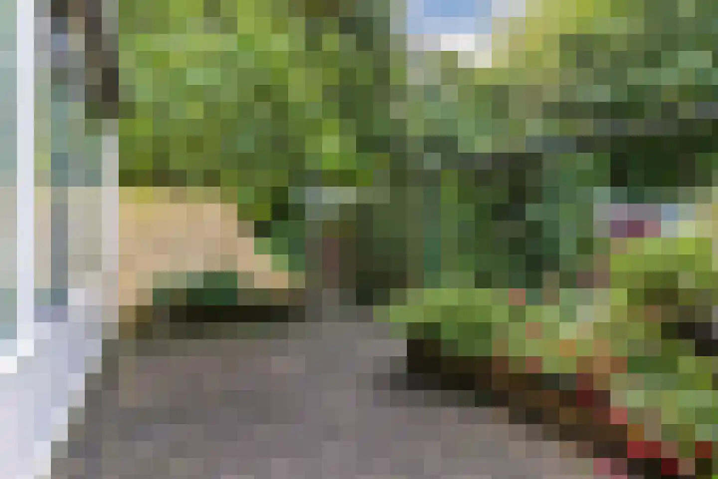 Boszoom 32 Marknesse thumbnail 38