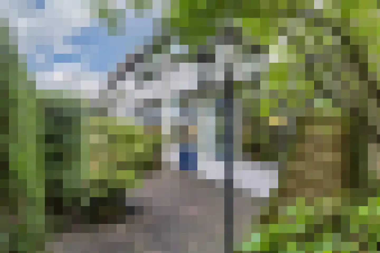 Boszoom 32 Marknesse thumbnail 39