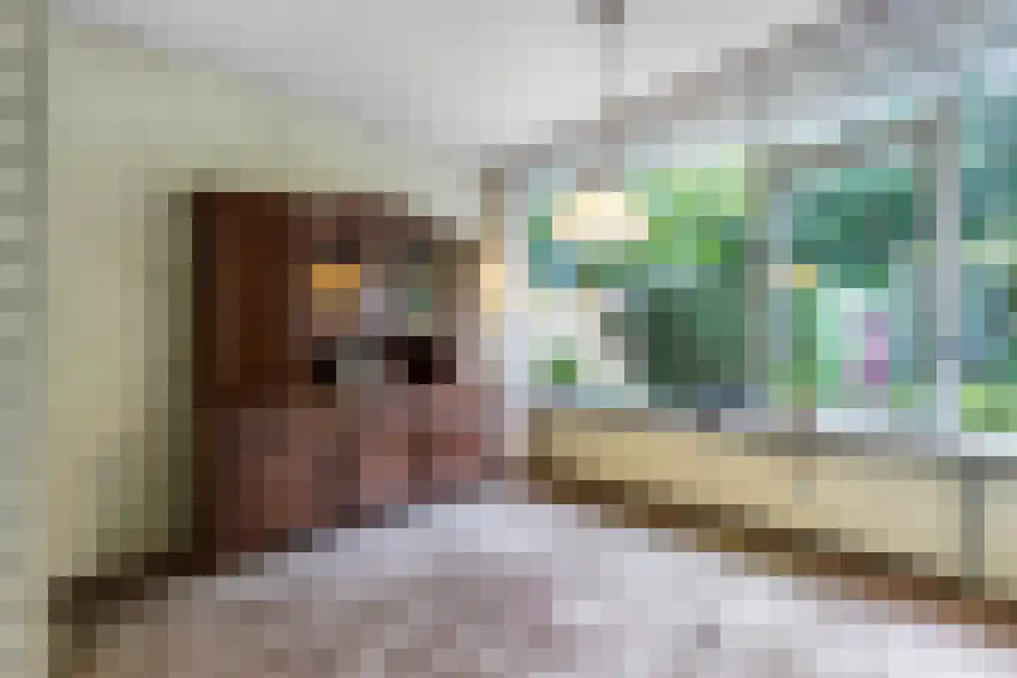 Boszoom 32 Marknesse thumbnail 4