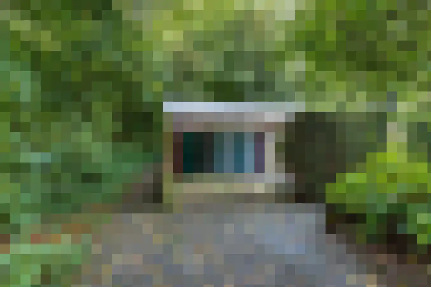 Boszoom 32 Marknesse thumbnail 41