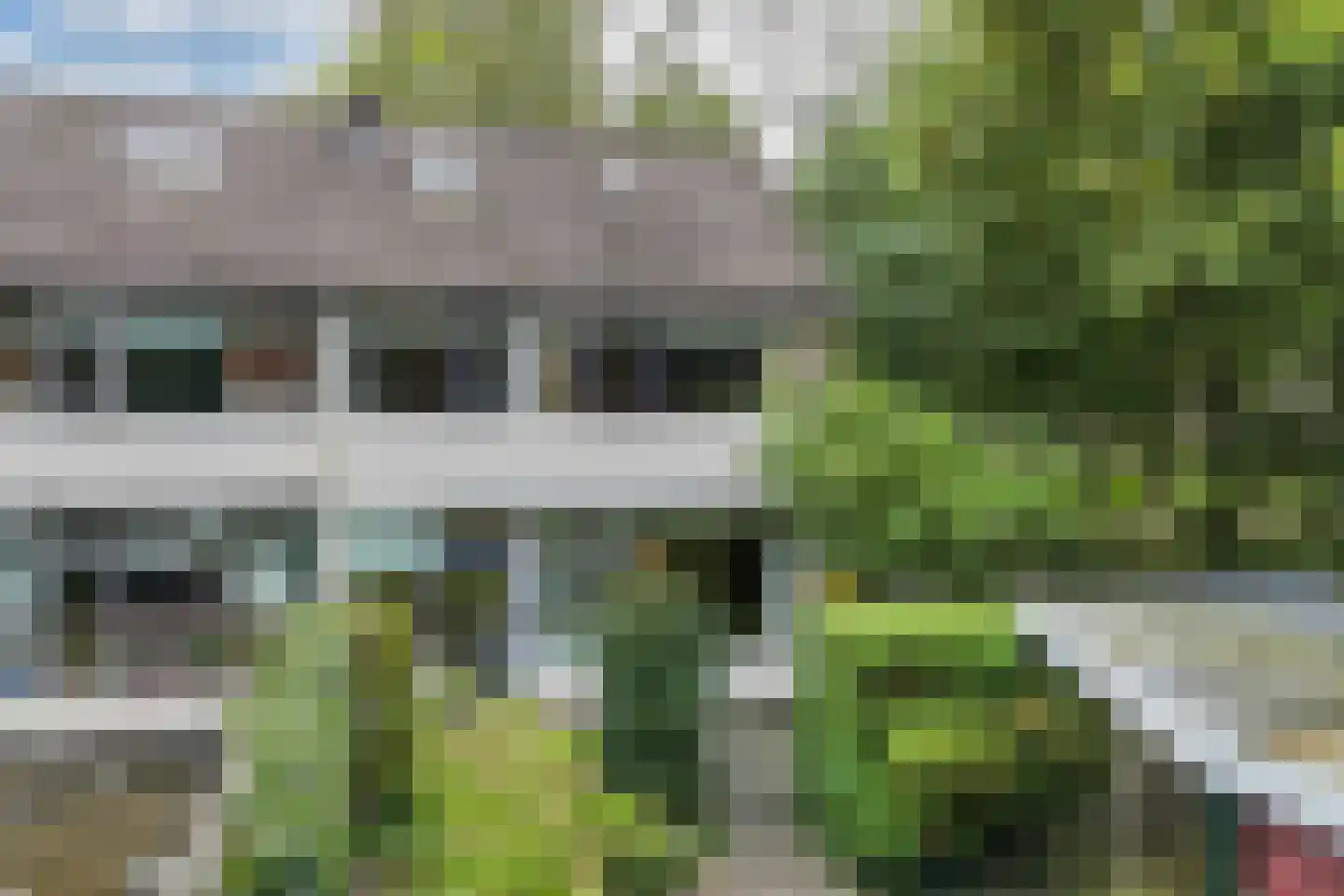 Boszoom 32 Marknesse thumbnail 43