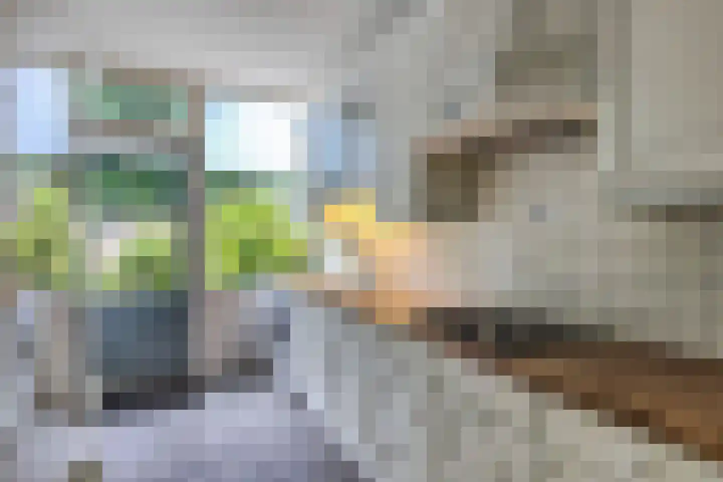 Boszoom 32 Marknesse thumbnail 5