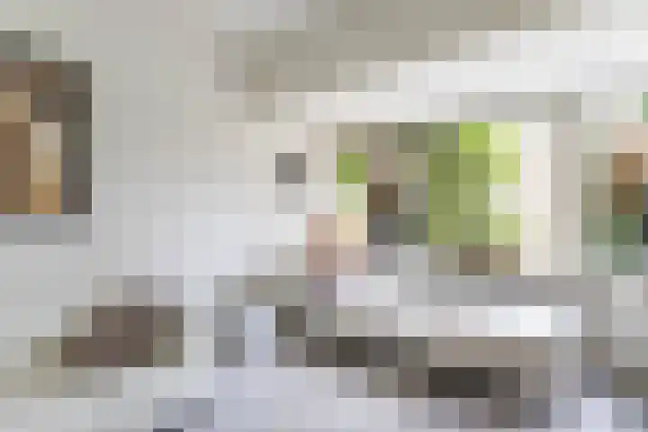 Botanicuslaan 24 Haren Gn thumbnail 11