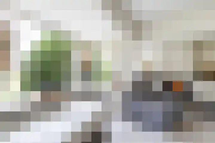 Botanicuslaan 24 Haren Gn thumbnail 12