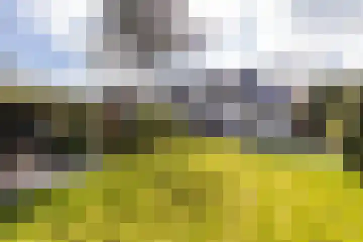 Botanicuslaan 24 Haren Gn foto 2