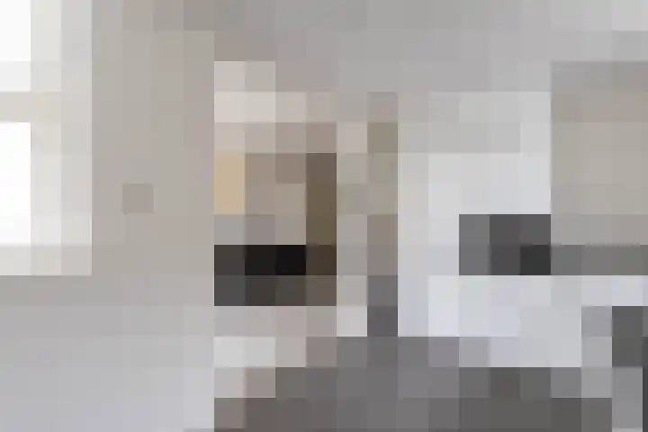 Botanicuslaan 24 Haren Gn thumbnail 28