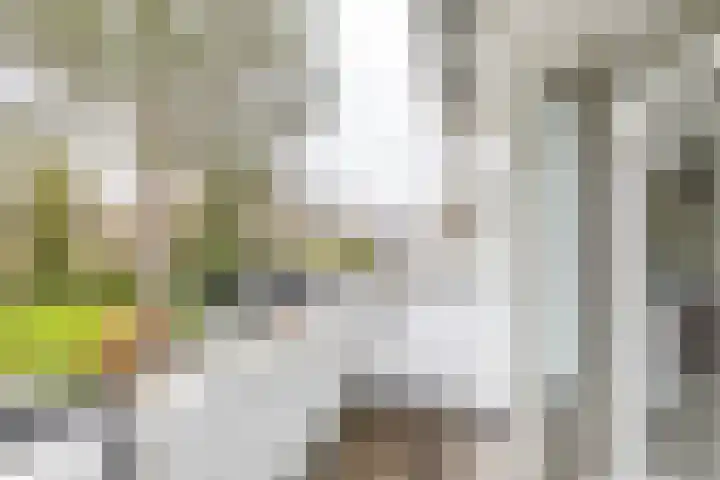Botanicuslaan 24 Haren Gn thumbnail 37