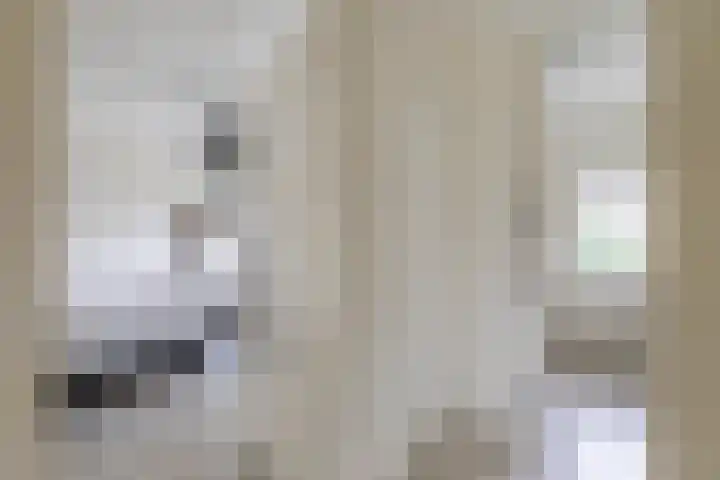Botanicuslaan 24 Haren Gn thumbnail 38