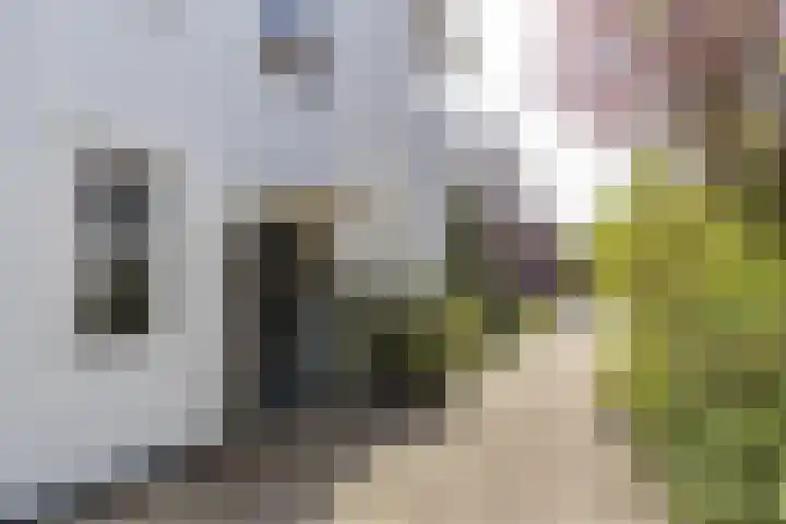 Botanicuslaan 24 Haren Gn thumbnail 5