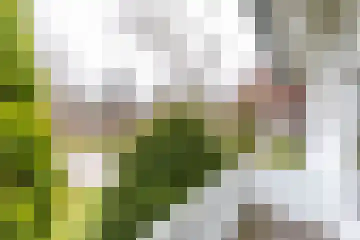 Botanicuslaan 24 Haren Gn thumbnail 52