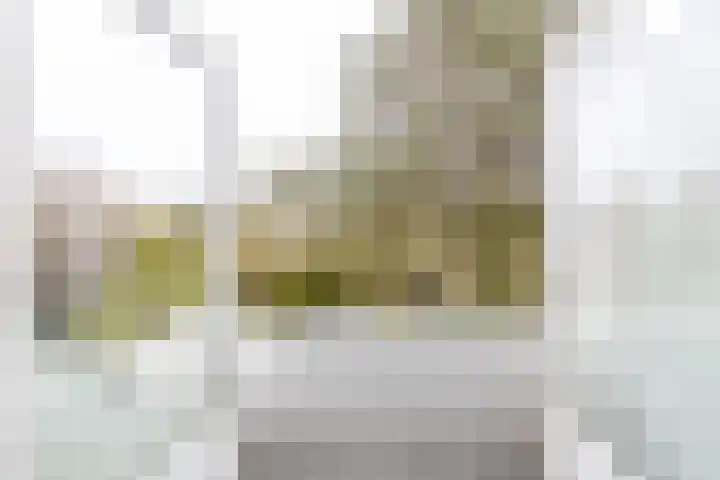 Botanicuslaan 24 Haren Gn thumbnail 61