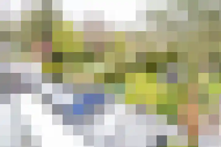 Botanicuslaan 24 Haren Gn thumbnail 62