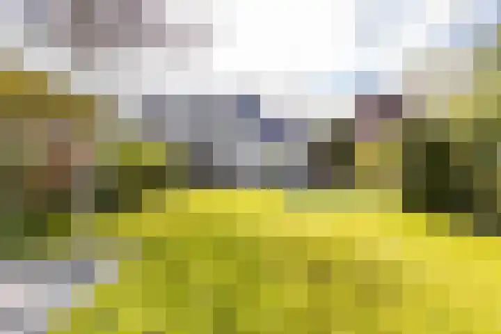 Botanicuslaan 24 Haren Gn thumbnail 66