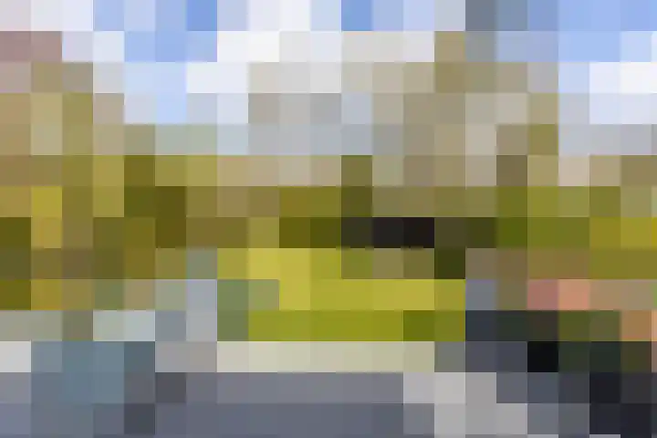 Botanicuslaan 24 Haren Gn thumbnail 70