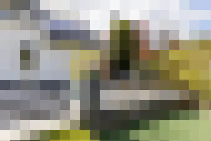 Botanicuslaan 24 Haren Gn thumbnail 72