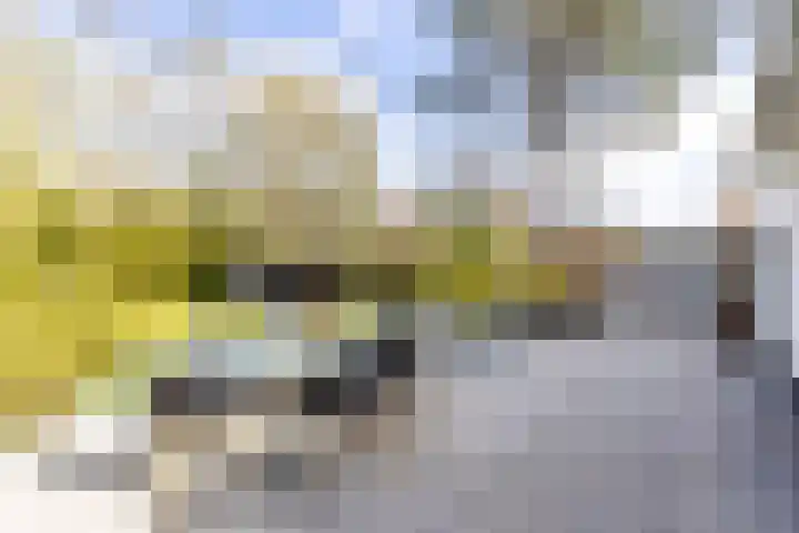 Botanicuslaan 24 Haren Gn thumbnail 73