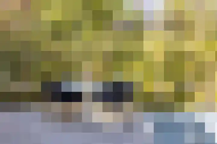Botanicuslaan 24 Haren Gn thumbnail 74