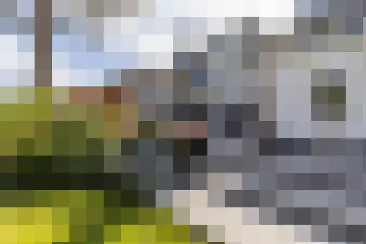 Botanicuslaan 24 Haren Gn thumbnail 75