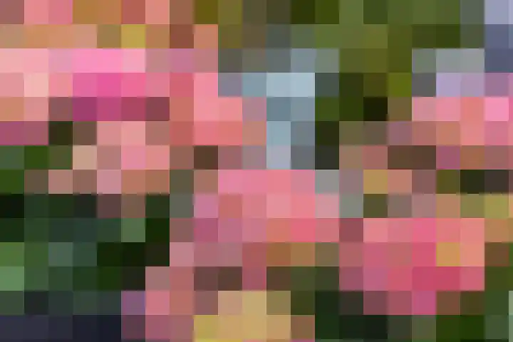 Botanicuslaan 24 Haren Gn thumbnail 76