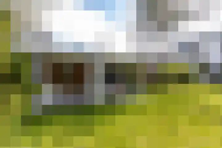 Botanicuslaan 24 Haren Gn thumbnail 77