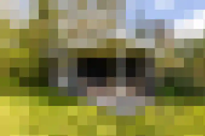 Botanicuslaan 24 Haren Gn thumbnail 78