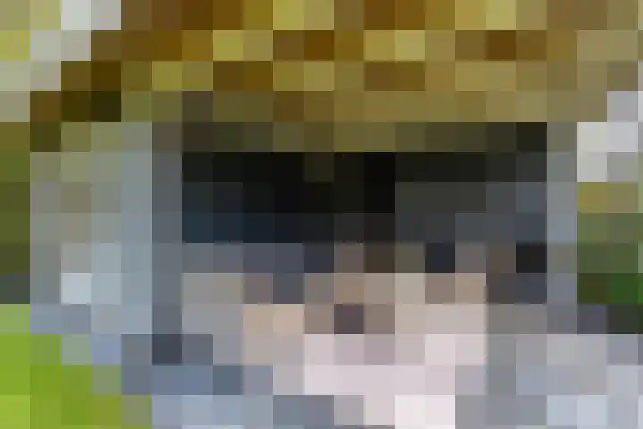 Botanicuslaan 24 Haren Gn thumbnail 79