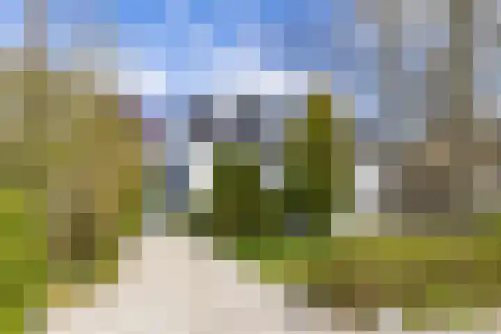 Botanicuslaan 24 Haren Gn thumbnail 82