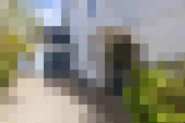 Botanicuslaan 24 Haren Gn thumbnail 83