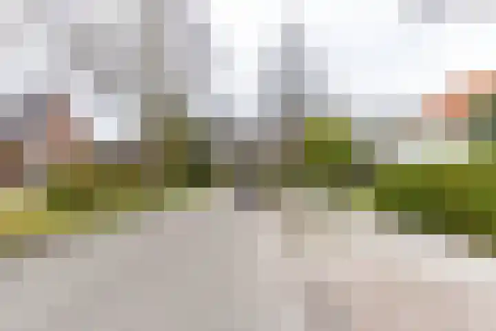 Botanicuslaan 24 Haren Gn thumbnail 85