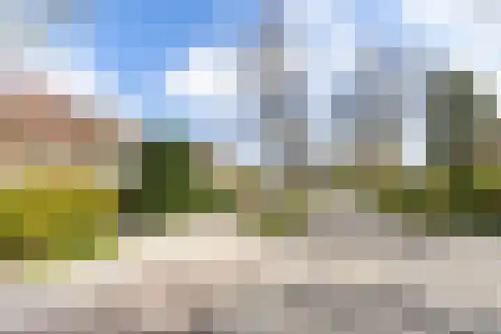 Botanicuslaan 24 Haren Gn thumbnail 86