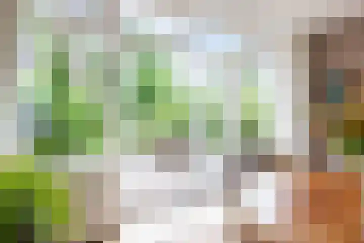 Botanicuslaan 43 Haren Gn thumbnail 14