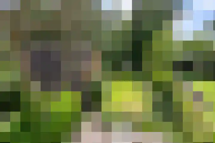 Botanicuslaan 43 Haren Gn thumbnail 37