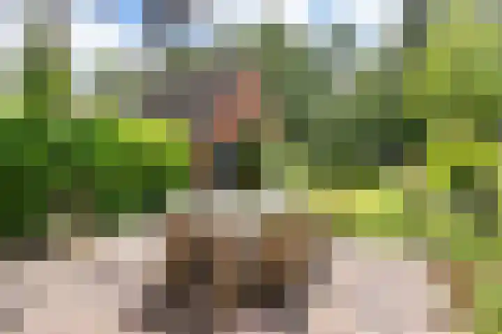 Botanicuslaan 43 Haren Gn thumbnail 38