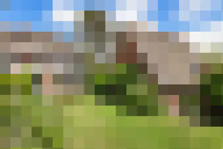 Botanicuslaan 43 Haren Gn thumbnail 40