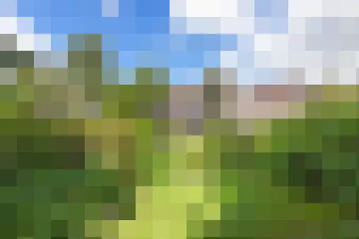 Botanicuslaan 43 Haren Gn thumbnail 42