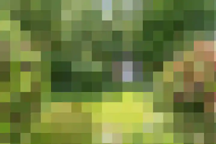 Botanicuslaan 43 Haren Gn thumbnail 43