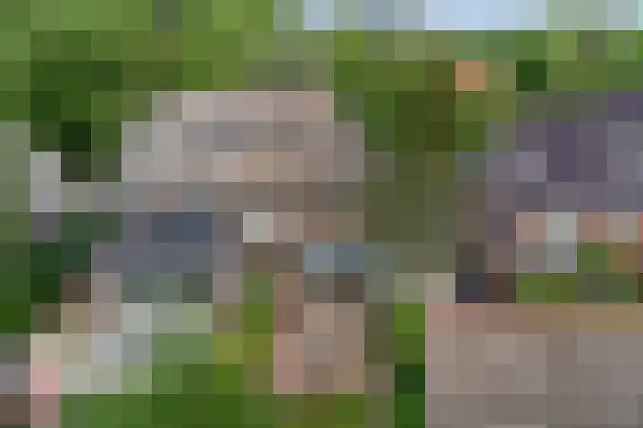 Botanicuslaan 43 Haren Gn thumbnail 44