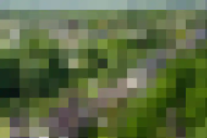 Botanicuslaan 43 Haren Gn thumbnail 45