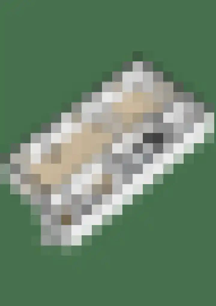 Botanicuslaan 43 Haren Gn thumbnail 49