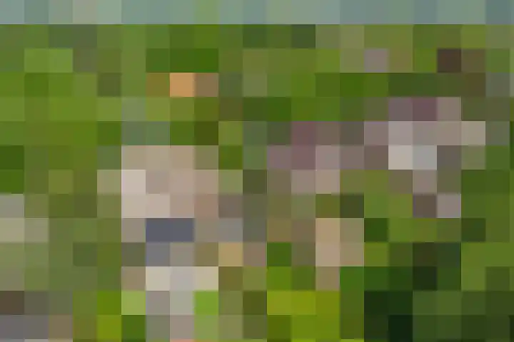Botanicuslaan 43 Haren Gn thumbnail 60