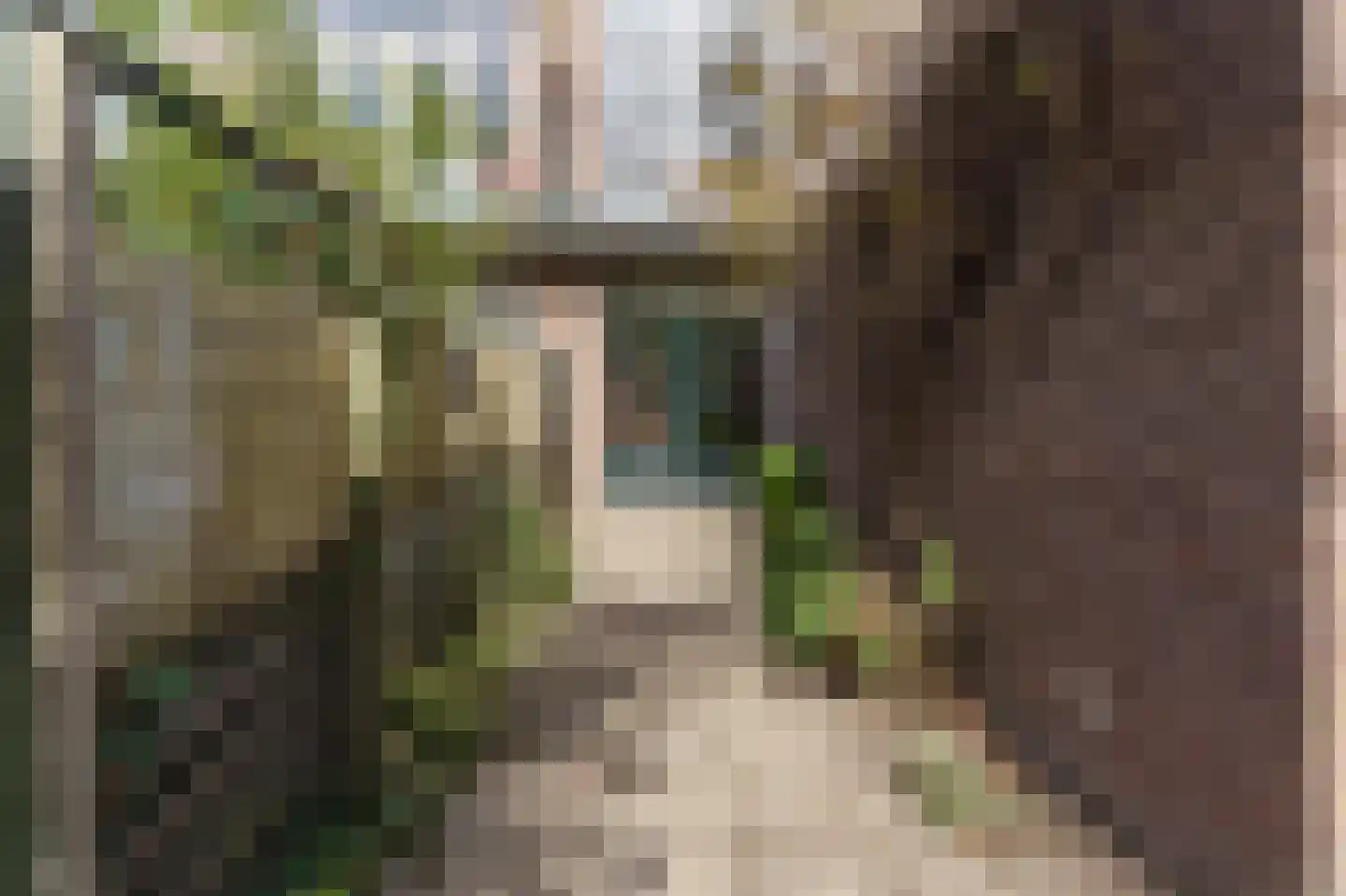 Botaniestraat 20 Delft thumbnail 15