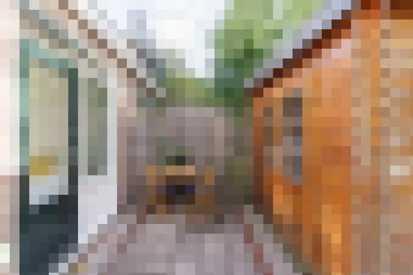 Botaniestraat 20 Delft thumbnail 18