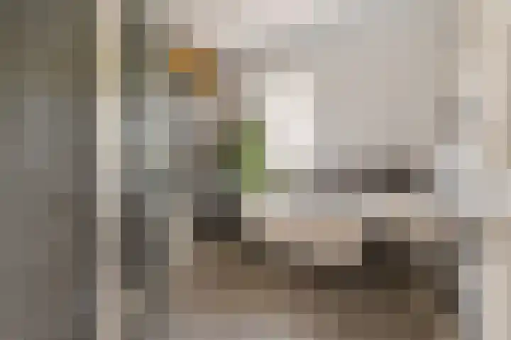 Botaniestraat 24 Delft thumbnail 4