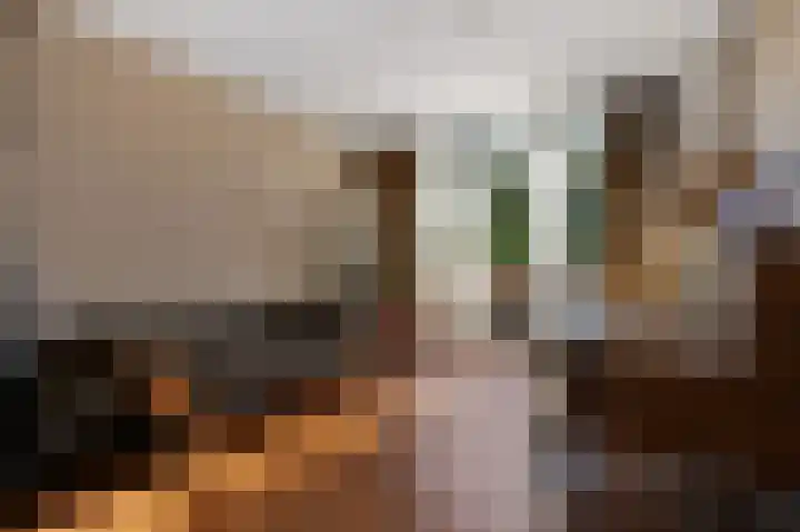 Botaniestraat 24 Delft thumbnail 40