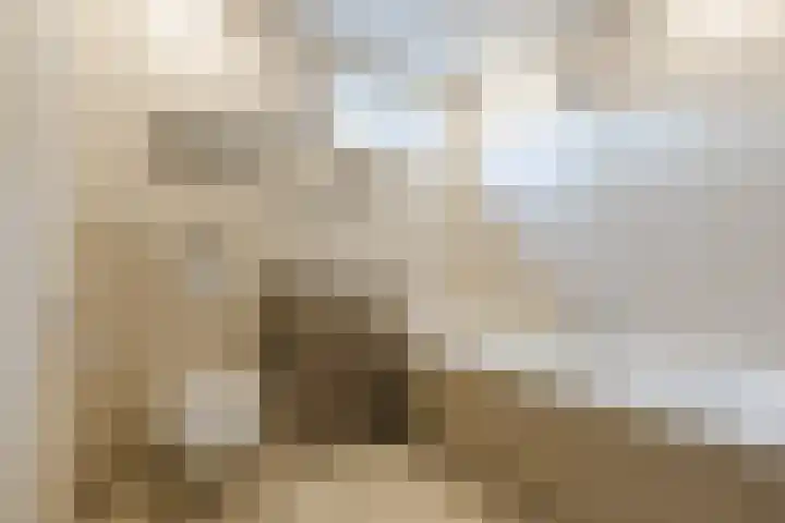 Botaniestraat 24 Delft thumbnail 43