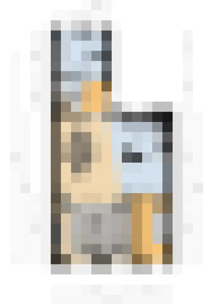 Botaniestraat 24 Delft thumbnail 48